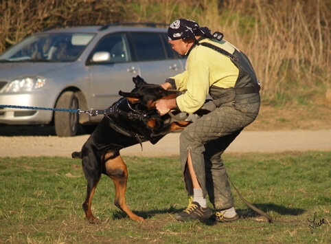 Training in Prague 3/2007